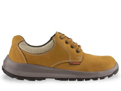 Farmer ALFA O1 FO f. 81 V280 005
